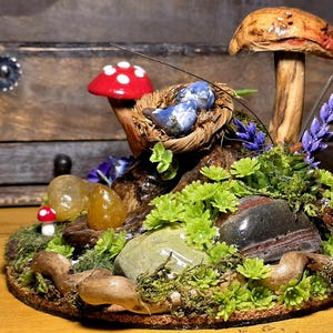 May include: A miniature fairy garden scene with a red and white spotted mushroom, a nest with blue eggs, and a larger mushroom. The scene includes green plants, rocks, and wood elements, creating a whimsical, naturalistic display.