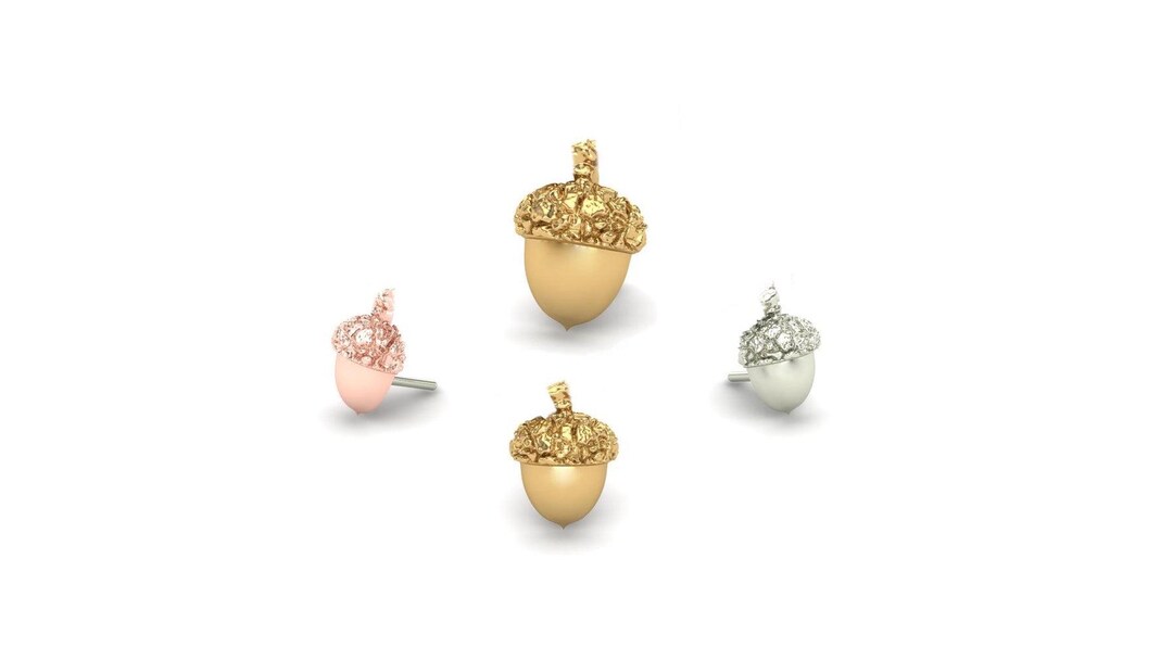 14K Solid Gold Acorn– Body Jewelry, Nose, Cartilage – 25g Threadless ...
