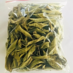Dried Guava Leaves Hojas de Guayaba Guayabo Psidium Guajava 100% Pure Organic Herbal Tea Fast Free Shipping