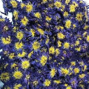 Fiori interi di loto blu essiccati Tè alle erbe biologico di prima qualità Nymphaea caerulea Tè al loto blu Tè alle erbe Spedizione veloce e gratuita dalla Svezia