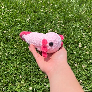 Cute Crochet Axolotl Amigurumi  Physical Plushie
