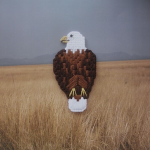 May include: A handcrafted, textured eagle applique in shades of brown, white, and yellow. The eagle is set against a backdrop of a field of tall grass and a cloudy sky. The applique is likely made of yarn or fabric.