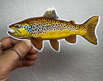 Brown Trout Sticker Fly fishing Rainbow Brown Brook Trout Fishing Decal