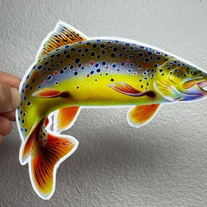 8 Inches Trout Sticker Fly fishing Rainbow Brown Brook Trout Fishing Decal