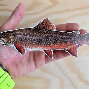 8 Inches Trout Sticker Fly fishing Rainbow Brown Brook Trout Fishing Decal