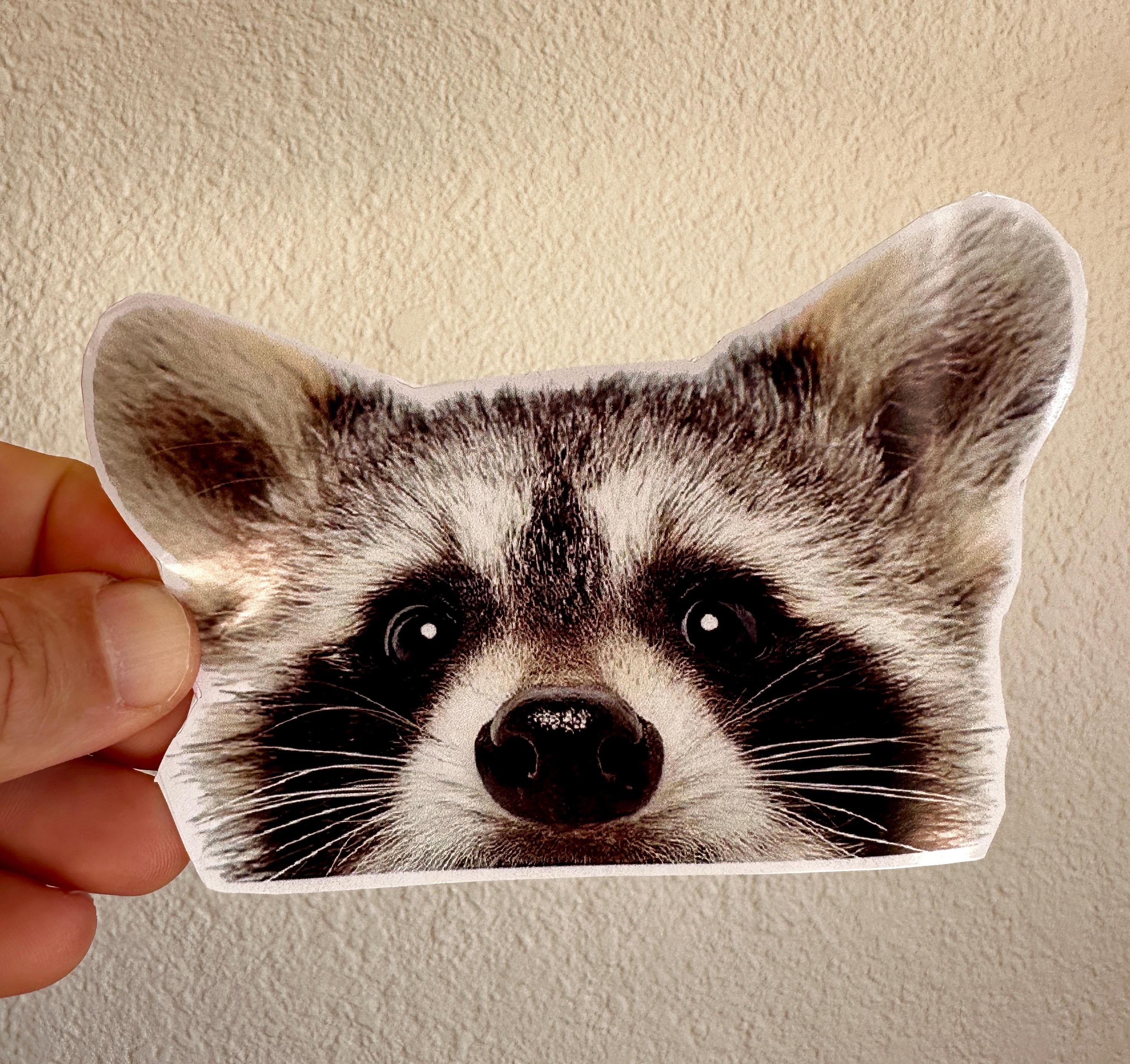 Raccoon Baby Sticker Rock metal Camp Decal Camping Mountains Adventure
