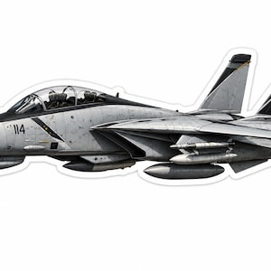 May include: A gray and black fighter jet sticker featuring the number 114 on the side and a skull and crossbones emblem on the tail fin. The aircraft is depicted in a side profile view with a clear cockpit canopy and external fuel tanks attached.