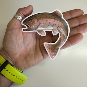 8 Inches Trout Sticker Fly fishing Rainbow Brown Brook Trout Fishing Decal