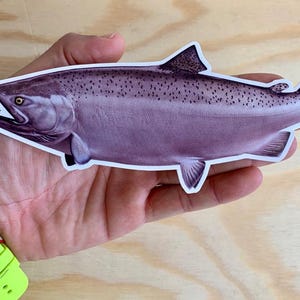Lachs Stahlkopfforelle Aufkleber Fliegenfischen Regenbogen Bachforelle Angeln Aufkleber