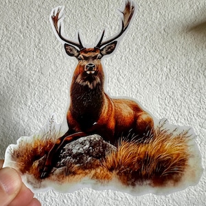 Deer Hunting Buck bow hunt Camo Sticker Decal Tactical Gear