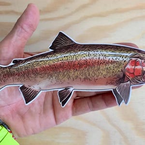 Trout Sticker Fly fishing Rainbow Brown Brook Trout Fishing Decal