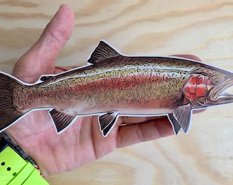 Pegatina de trucha para pesca con mosca, trucha arcoíris, marrón, de arroyo, calcomanía para pesca