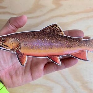 8 Inches Trout Sticker Fly fishing Rainbow Brown Brook Trout Fishing Decal