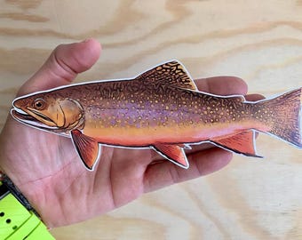 Pegatina de trucha de 8 pulgadas para pesca con mosca, trucha arcoíris, marrón, de arroyo