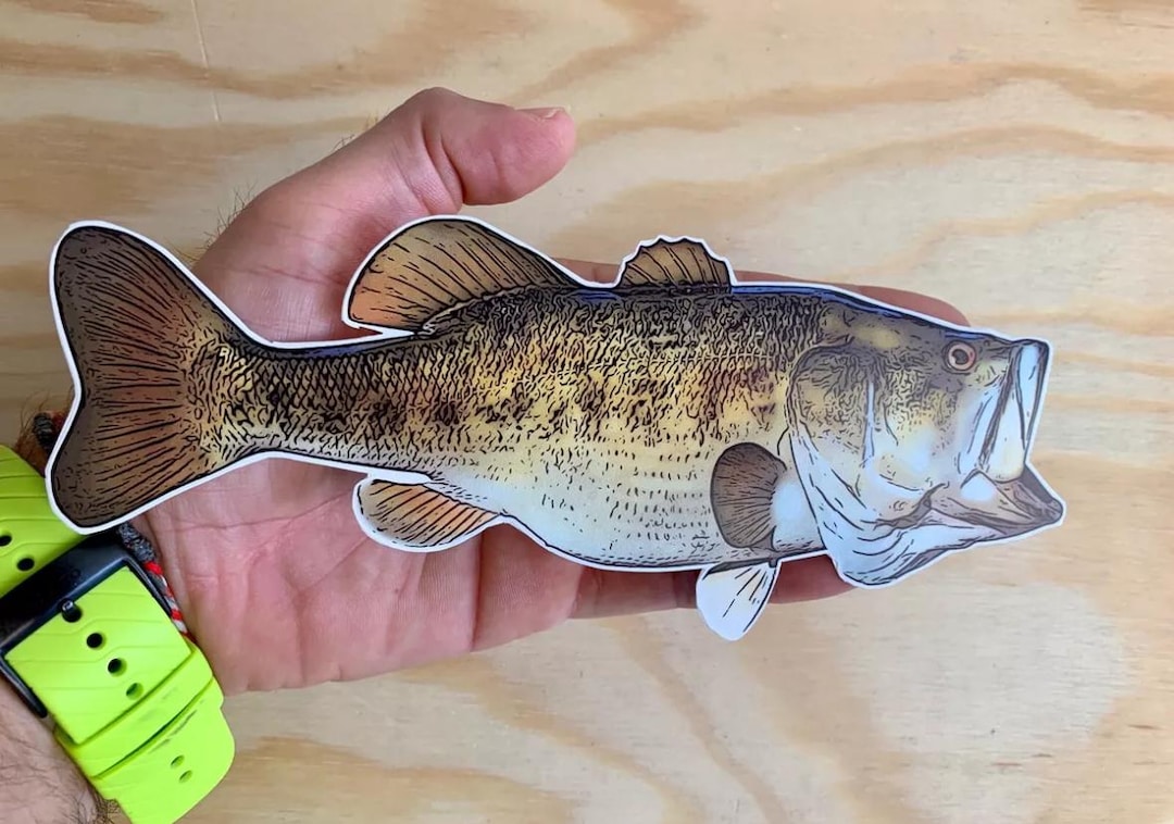 Large Mouth Bass Sticker Fishing Bait Lure Tackle Boat Car Bumper ...