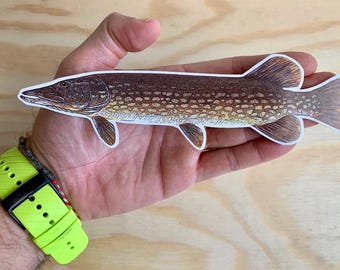 Pike Fish Sticker fishing Bait Lure Tackle Boat Car Bumper Fishing Decal