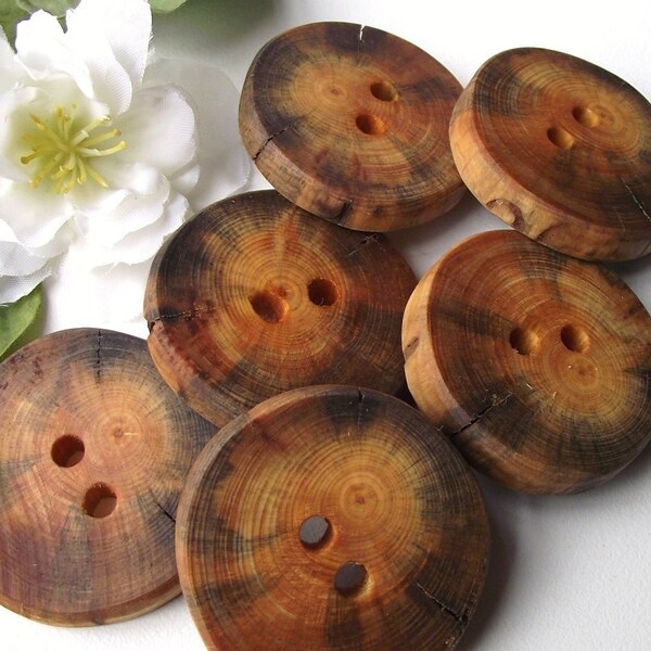 Buttons Wood - 6 Rustic Ohio Pine Wood Tree Branch Buttons - 2 holes, 1 1/2 inches - For journals, purses, pillows, and more