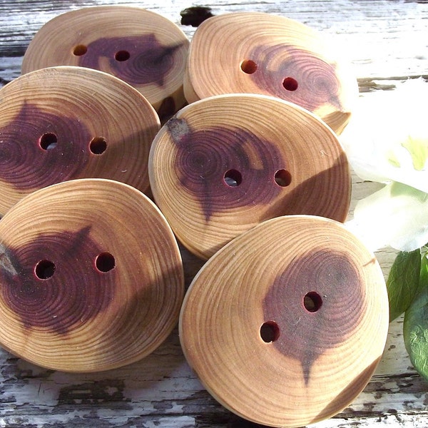 Handmade Wooden Buttons - 6 Cedar Wood Tree Branch Buttons - 1 3/4 x 1 1/2 inches, 2 Holes, For Knitting, Journals, Pillows, Purses