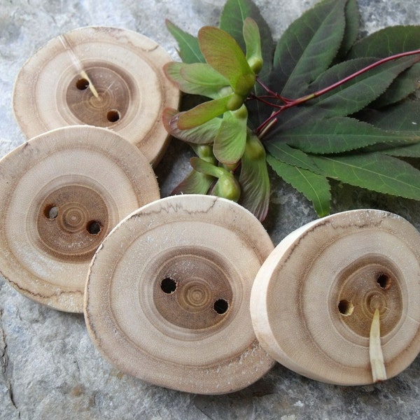 4 Magnificent Mulberry Tree-Branch Buttons - 1 7/8 inches x 1 3/4 inches, 2 holes, Perfect for Journals, Decorative Pillows, Favor and Gift Boxes, Knitting and Sewing