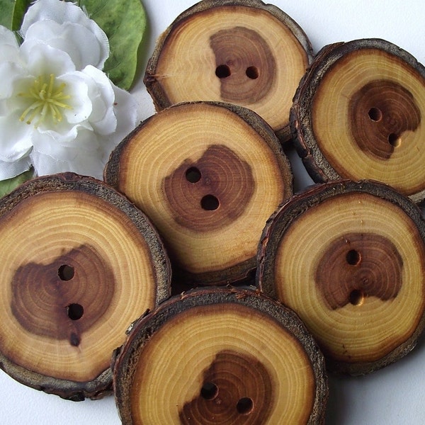 Wood Buttons - 6 Wooden Tree Branch Buttons with Bark - 2 inches, 2 holes, For Journals, Pillows, Purses, Knitting and Crochet