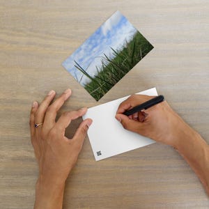 Standard Grass Postcards