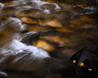 Fall creek stream photo, aspen leaves, Colorado fall art, golden, copper color, autumn stream, fall aspen leaves | Pine Creek Fall