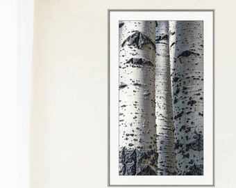  McCook Bend The Tree【SoftTouchPre】 Amazon.com: The Bradford Exchange Treetop Chorus Songbird