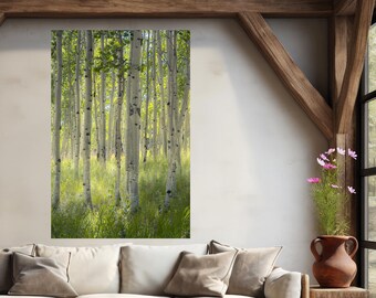 NEW** Colorado aspen trees, summer aspen grove, green aspen forest, aspen forest, birch trees, summer aspens, summer green | Summer Solitude