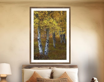 Colorado aspen trees, fall aspens, golden aspen trees, Colorado art, aspens, fall trees, aspen woods, aspen tree art | Along the Way