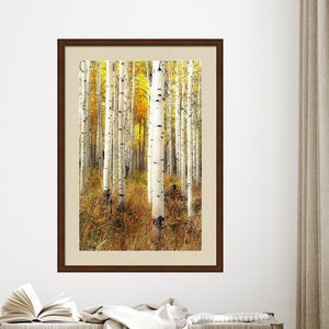 Fall aspen trees, colorful Colorado, Colorado art, fall aspen forest, beautiful fall trees, aspens art, fall aspen art Perfection image 3