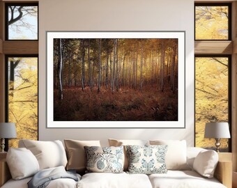 NEW** Sunset aspen forest, forest ferns, copper, birch, Colorado fall aspens, aspen color, evening light aspen trees | OwlCreek Aspen Sunset