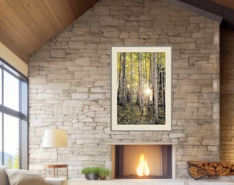 Aspen Trees, fall tree art, Colorado art, sunstar, Etsy Pick 2023, cabin decor, yellow gold leaves photo, aspens art | Evening Aspen Woods