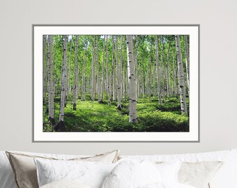 Aspen trees photo, mountain meadow photo, summer green art, aspen trees wall art, aspen tree decor, rustic wall decor, cabin decor, nature