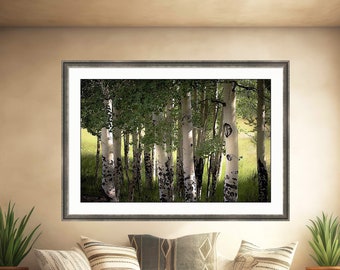 Aspen trees photo, mountain meadow photo, summer green art, aspen trees wall art, aspen woods, summer green meadow |Summer Aspens