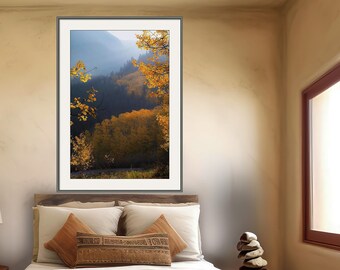 Colorado fall aspen trees, fall aspen trees, hazy mountains, fall leaves, canyon aspen trees, tree art, forest art | Canyon Haze