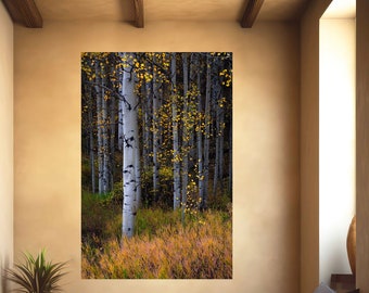 Colorado aspen trees, fall aspens, golden aspen trees, Colorado art, aspens, fall trees, aspen woods, aspen tree art | Speckled Forest