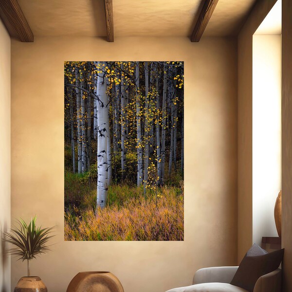 Colorado aspen trees, fall aspens, golden aspen trees, Colorado art, aspens, fall trees, aspen woods, aspen tree art | Speckled Forest