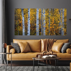 Colorado aspen trees, fall aspen trees, aspen woods, tree art, autumn aspen woods, fall aspen forest, fall aspen art | All the Colors