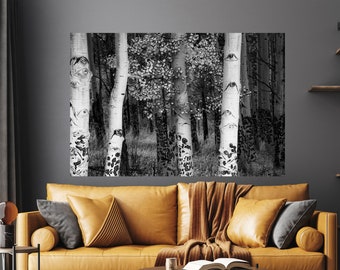 Aspen trees, black and white aspens, Colorado art, aspen trees, Black-White aspen forest, black white fall aspens | Edlowe Road Aspens