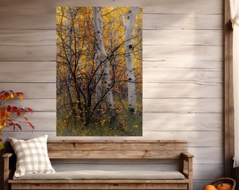 Colorado aspen trees, fall aspens, fall in Colorado, Colorado art, aspens, birch trees, aspen woods, aspen tree art | Colorful Chaos