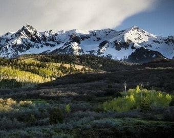 Mountains photo, aspen trees spring, aspen tree photo, spring snow mountains, Colorado art, San Juan Mountains, Dallas Divide, snow photo