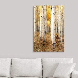 Fall aspen trees, colorful Colorado, Colorado art, fall aspen forest, beautiful fall trees, aspens art, fall aspen art Perfection image 5