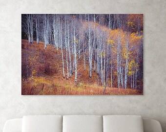 Fall aspen photo, Aspen trees fall, Colorado art, fall meadow, rustic home decor, aspen trees, amber, aspen forest fall | October Meadow