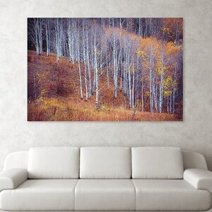 Fall aspen photo, Aspen trees fall, Colorado art, fall meadow, rustic home decor, aspen trees, amber, aspen forest fall October Meadow image 1