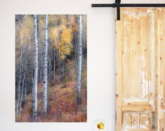 Aspen trees, fall tree decor, Colorado art, rustic wall art, cabin decor, fall aspen forest, aspen art, fall aspen art | through the woods