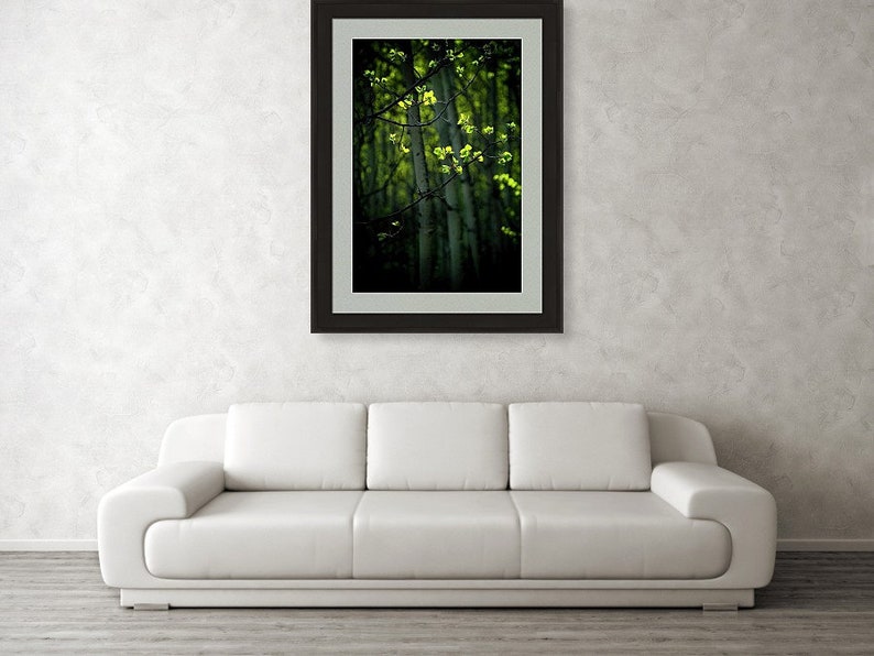 Spring aspen trees, springtime aspens, spring green art, aspen trees wall art, aspen tree decor, aspen leaves, spring leaves, cabin decor image 3