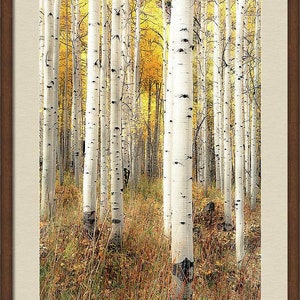 Fall aspen trees, colorful Colorado, Colorado art, fall aspen forest, beautiful fall trees, aspens art, fall aspen art Perfection image 4