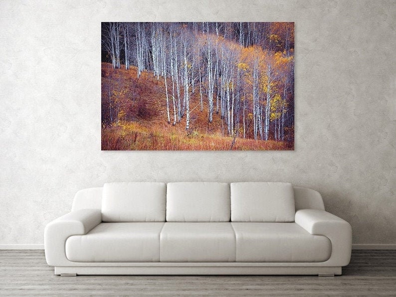Fall aspen photo, Aspen trees fall, Colorado art, fall meadow, rustic home decor, aspen trees, amber, aspen forest fall October Meadow image 1
