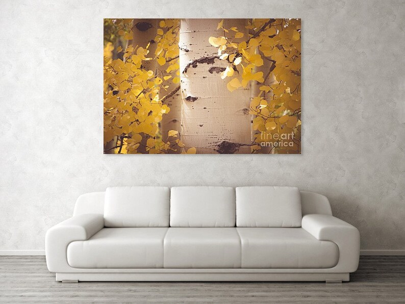 Aspen Trees Decor, Colorado Art, Fall Photo, Yellow Gold Leaf Art ...