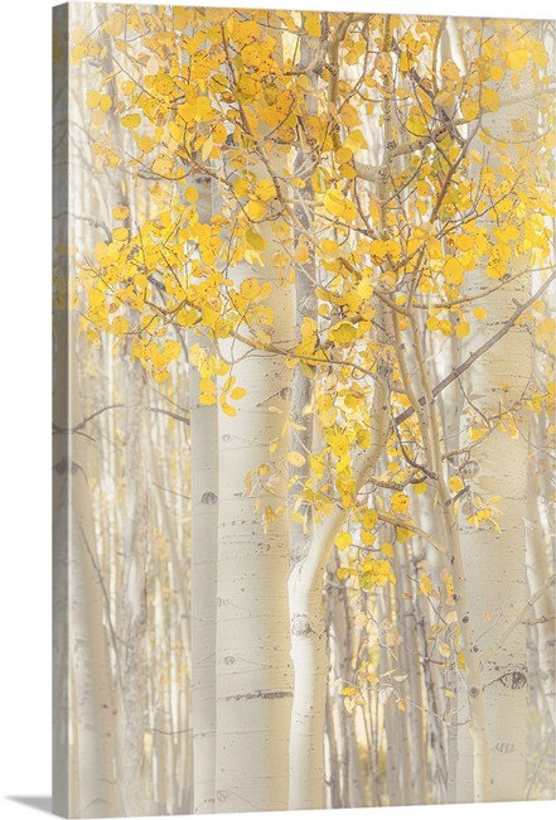 NEW Aspen tree wall art fall decor Colorado art aspen Etsy